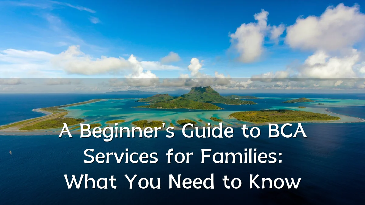 A Beginner's Guide to BCA Services for Families: What You Need to Know