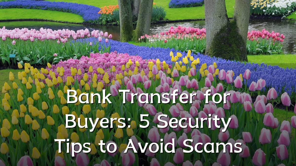Bank Transfer for Buyers: 5 Security Tips to Avoid Scams