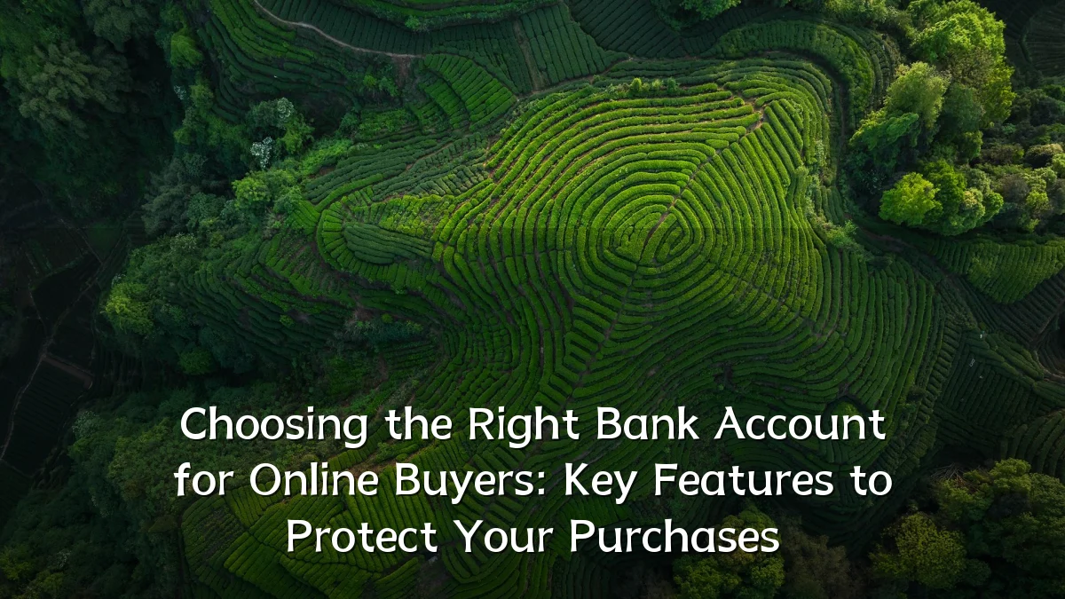 Choosing the Right Bank Account for Online Buyers: Key Features to Protect Your Purchases