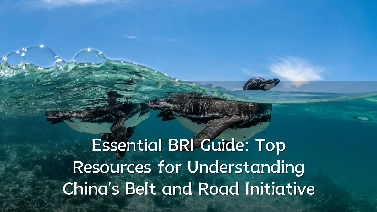 Essential BRI Guide: Top Resources for Understanding China's Belt and Road Initiative