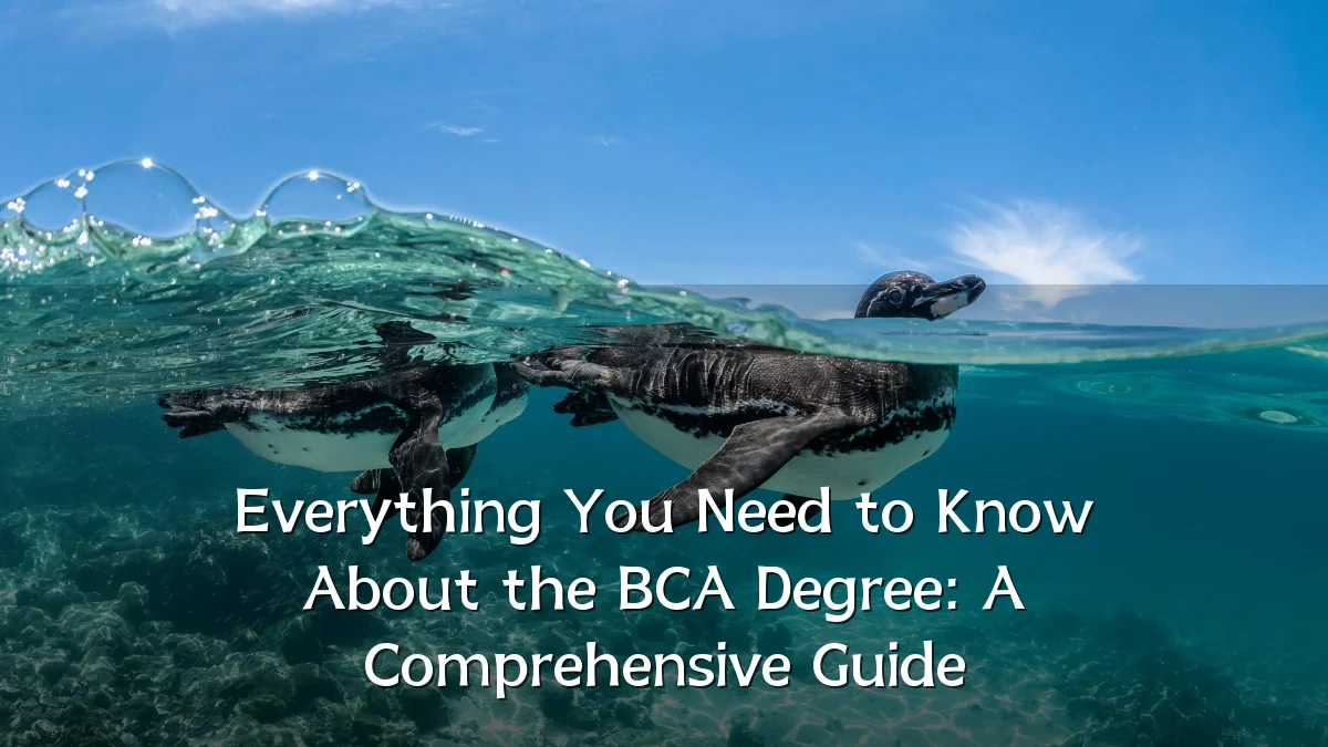 Everything You Need to Know About the BCA Degree: A Comprehensive Guide