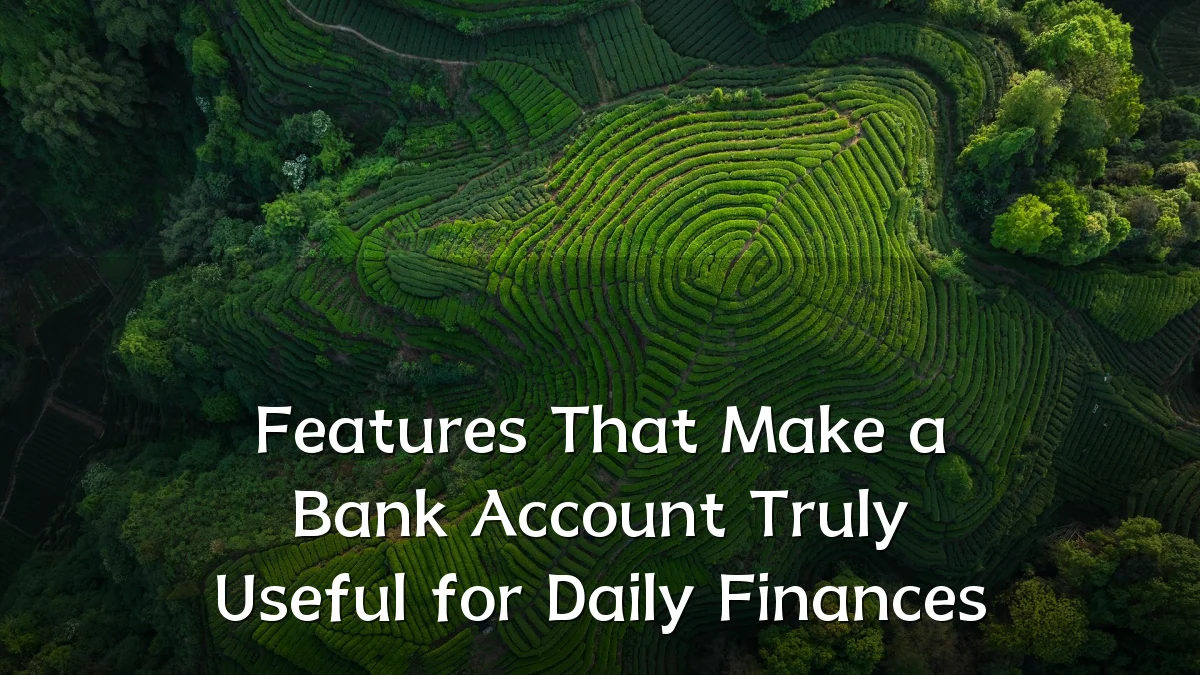 Features That Make a Bank Account Truly Useful for Daily Finances