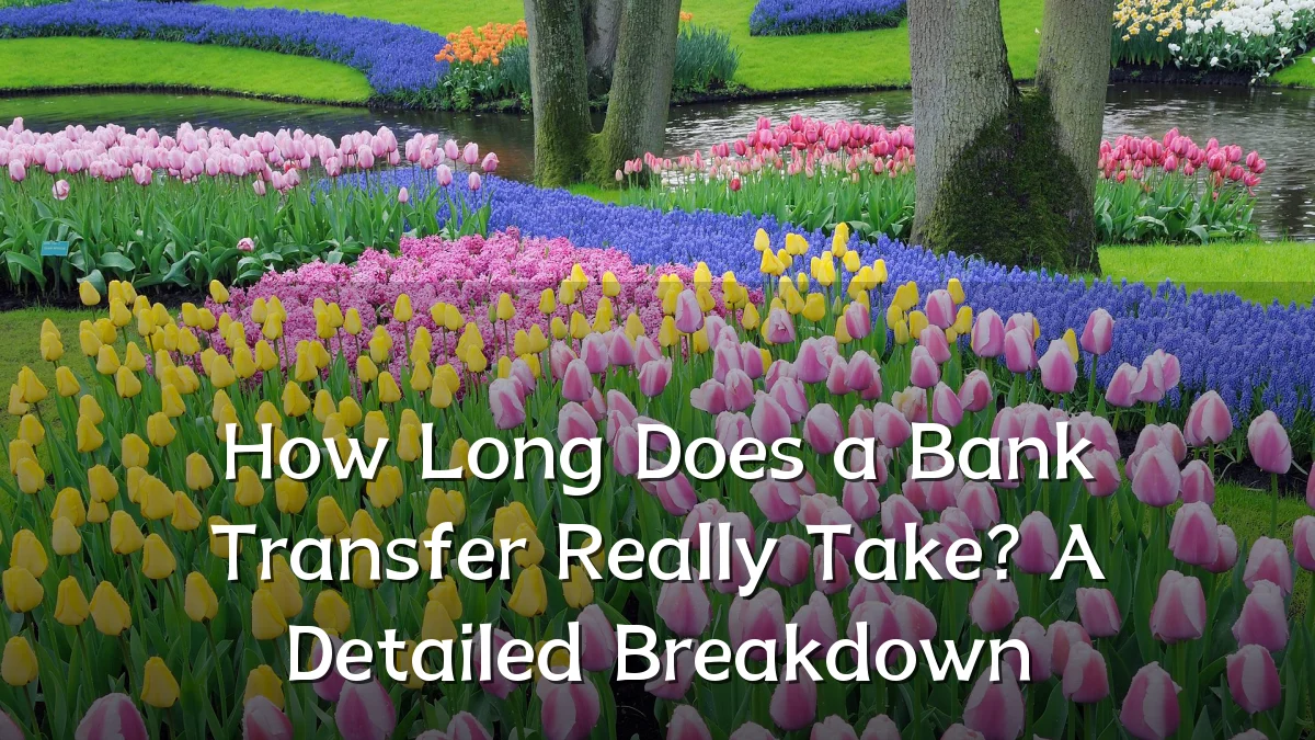 How Long Does a Bank Transfer Really Take? A Detailed Breakdown