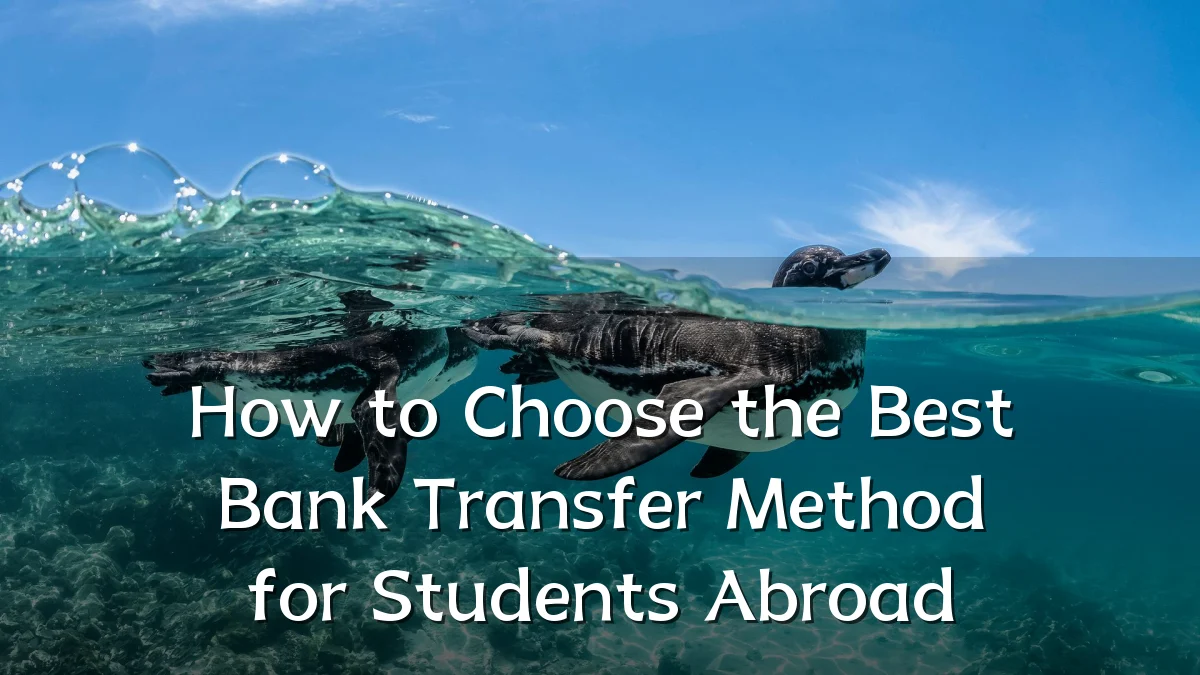 How to Choose the Best Bank Transfer Method for Students Abroad