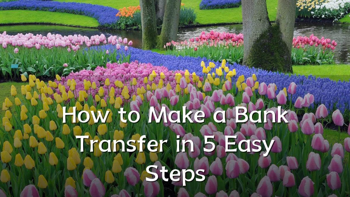 How to Make a Bank Transfer in 5 Easy Steps