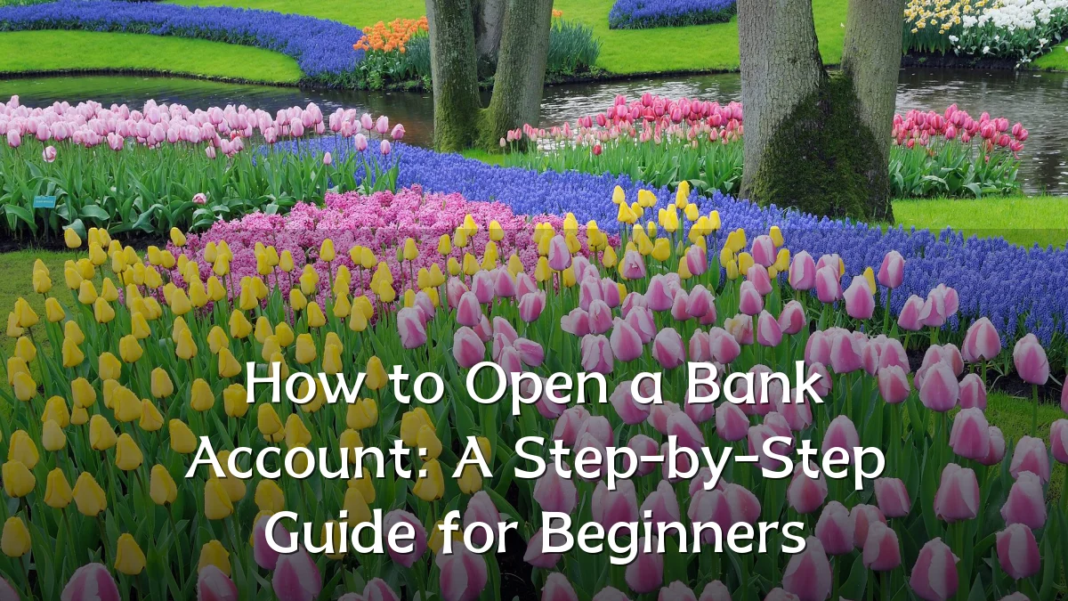 How to Open a Bank Account: A Step-by-Step Guide for Beginners