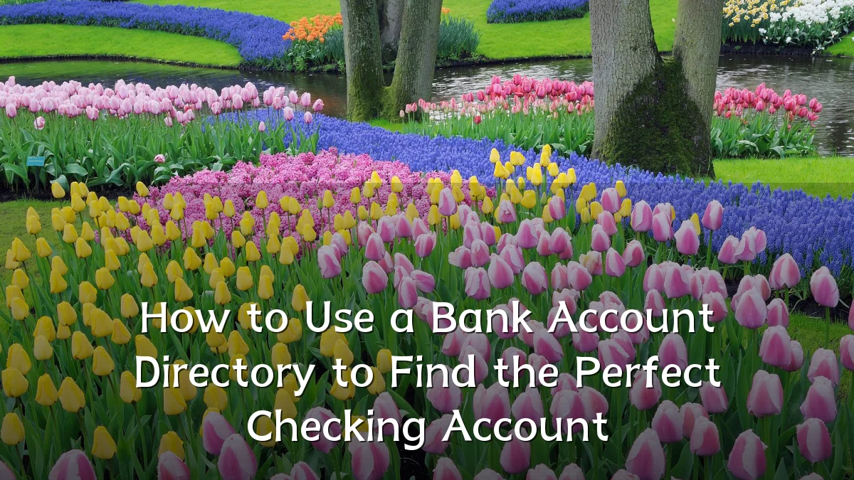 How to Use a Bank Account Directory to Find the Perfect Checking Account