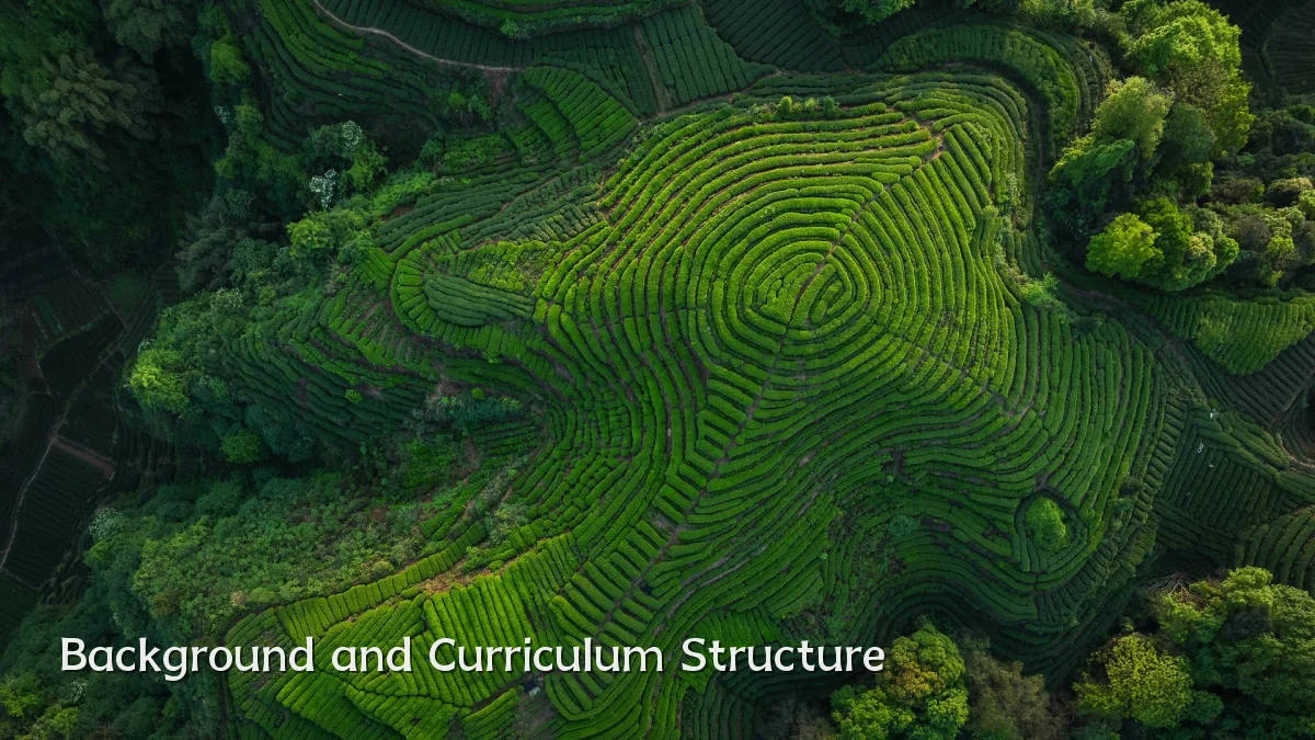 Background and Curriculum Structure