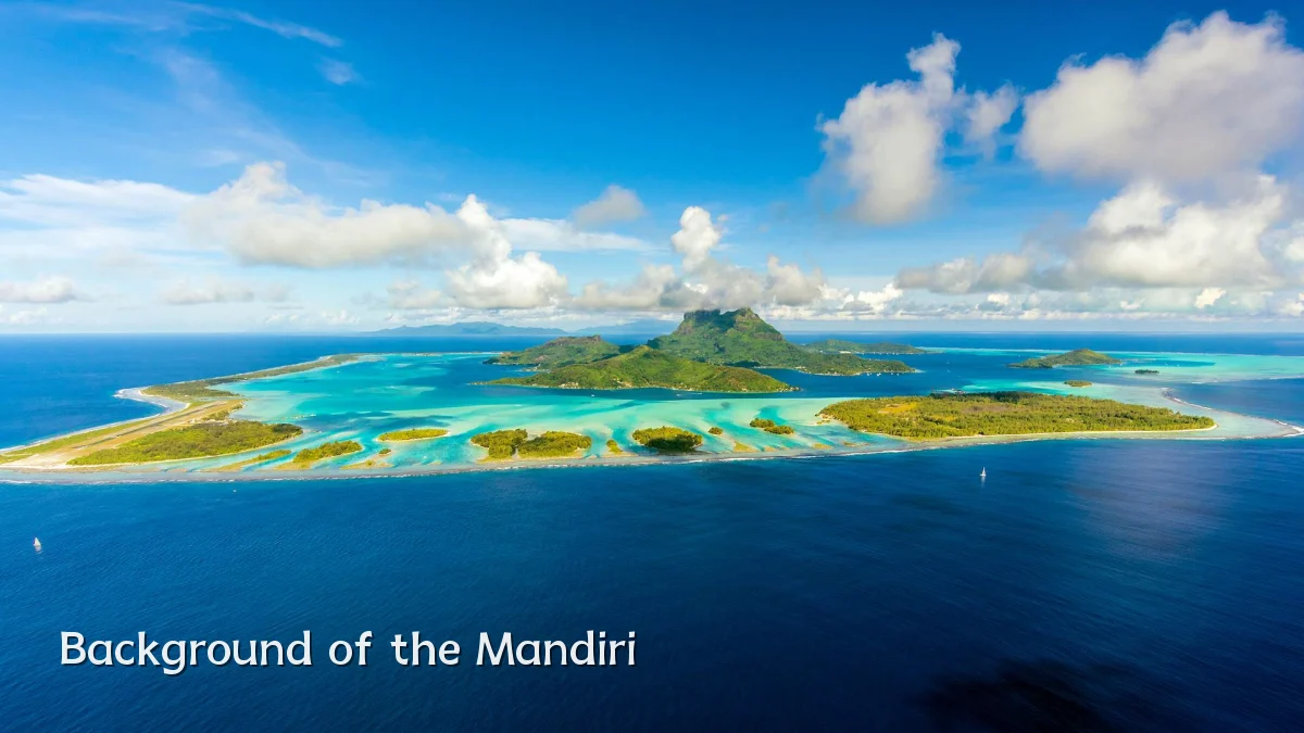 Background of the Mandiri