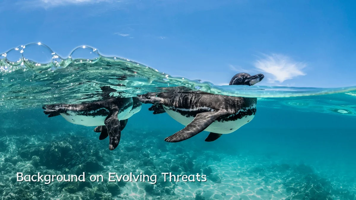 Background on Evolving Threats