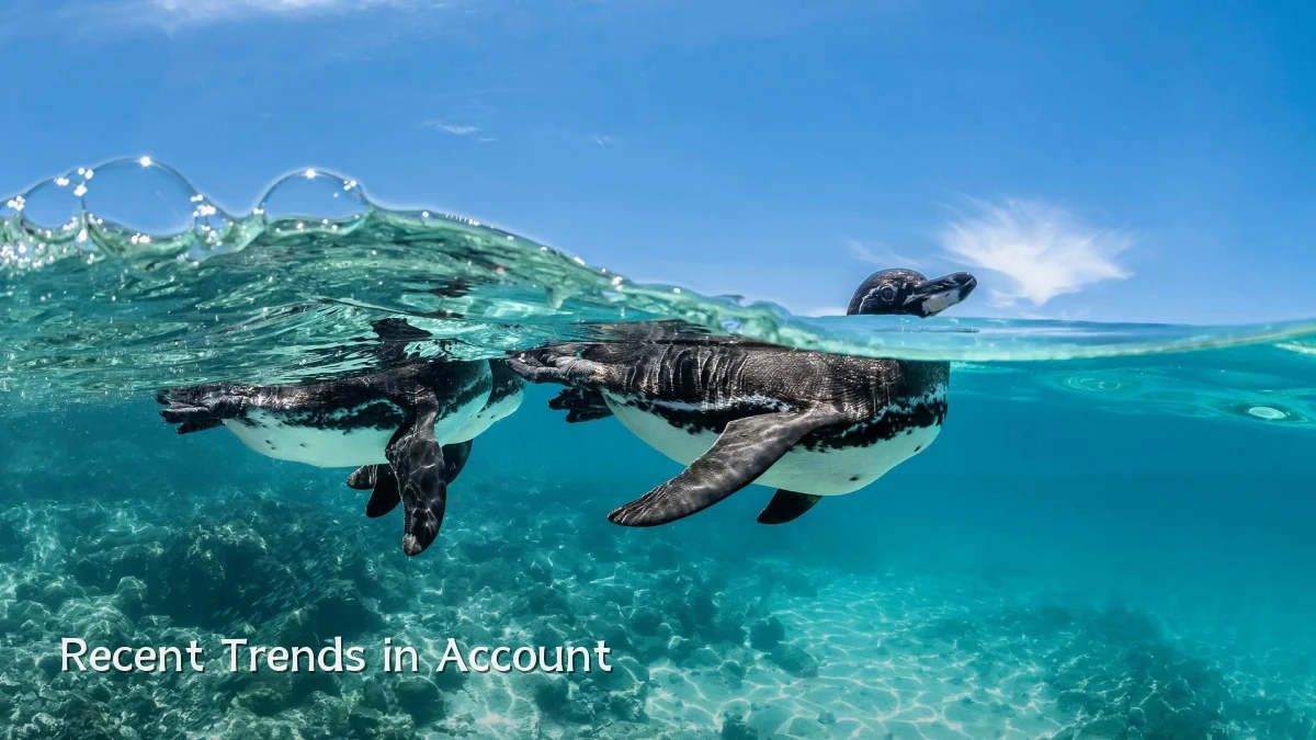 Recent Trends in Account