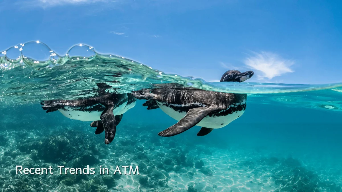 Recent Trends in ATM