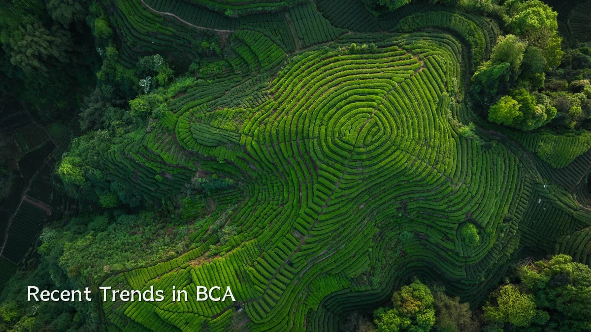 Recent Trends in BCA