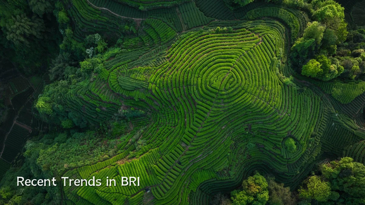 Recent Trends in BRI