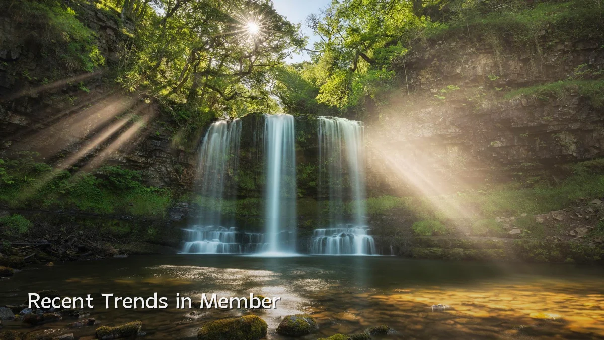 Recent Trends in Member