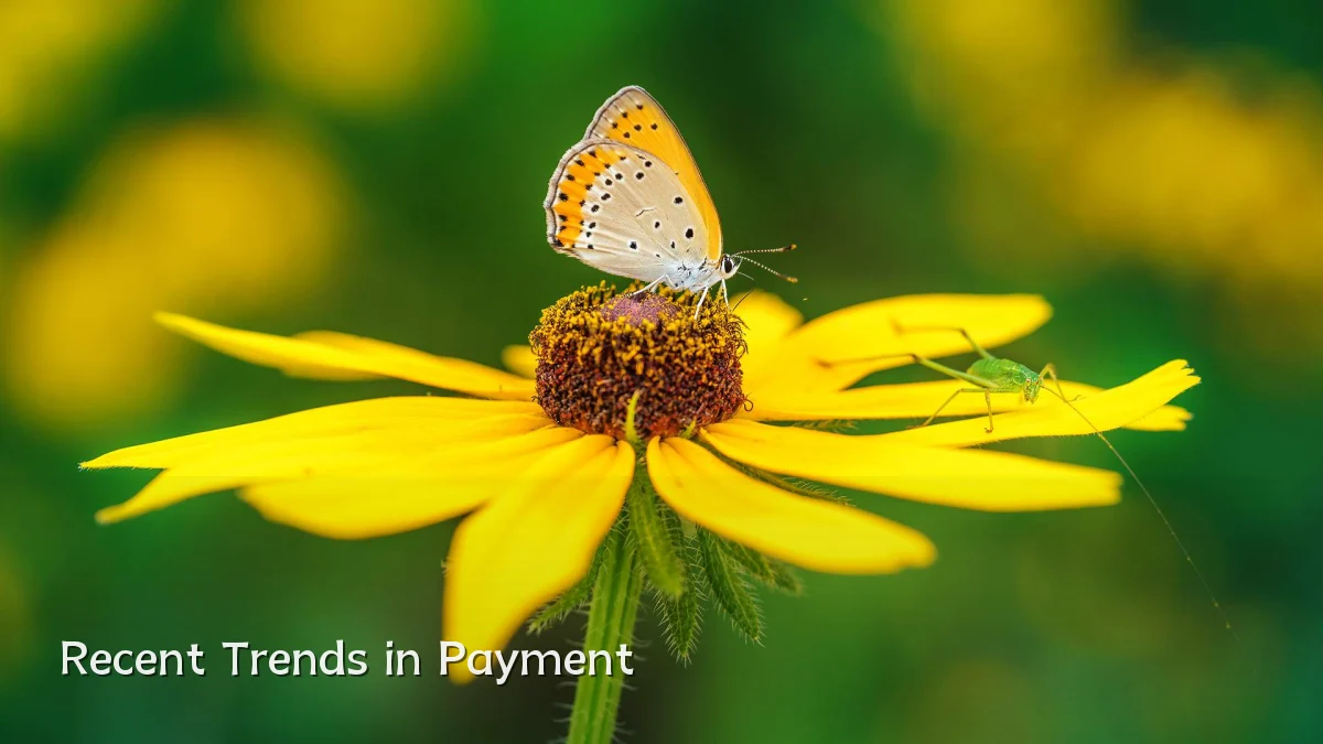 Recent Trends in Payment