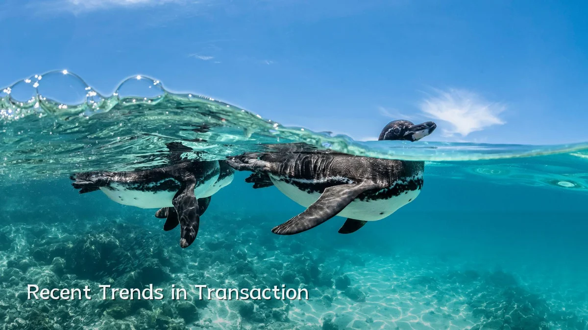 Recent Trends in Transaction