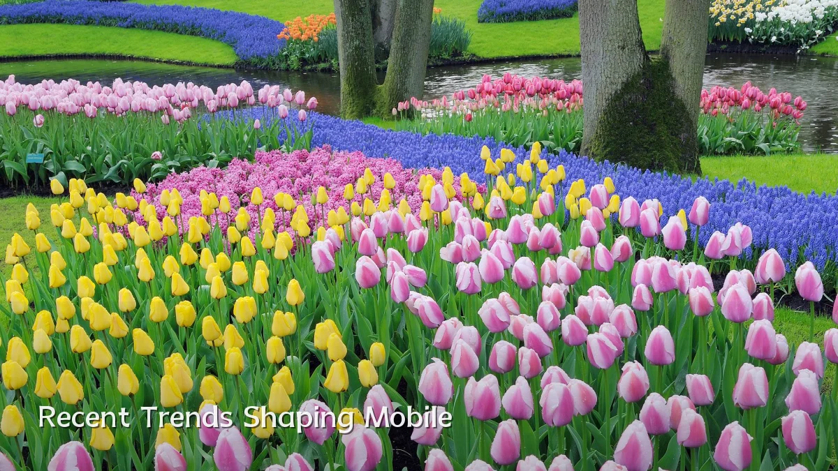 Recent Trends Shaping Mobile