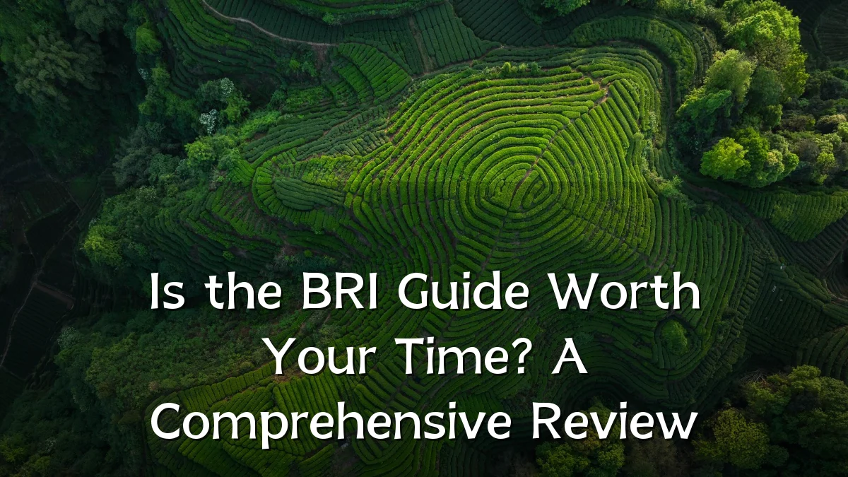 Is the BRI Guide Worth Your Time? A Comprehensive Review