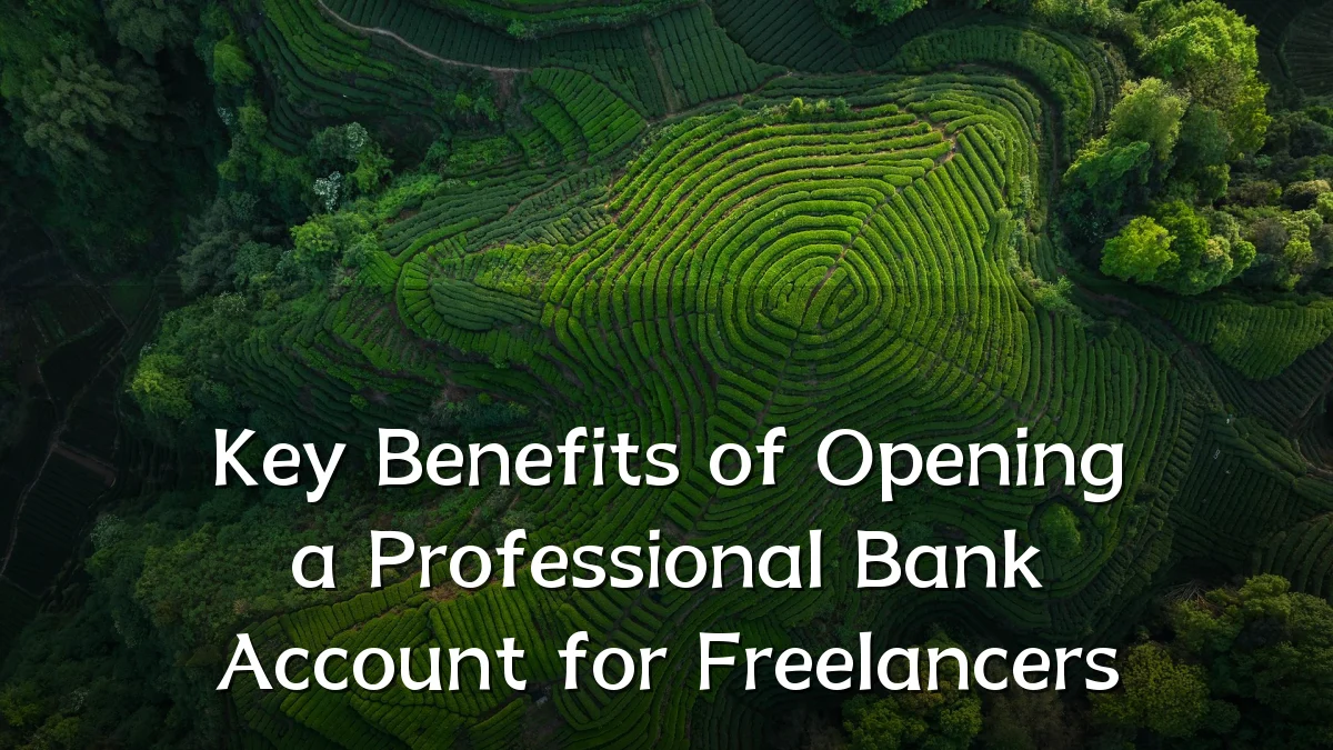 Key Benefits of Opening a Professional Bank Account for Freelancers