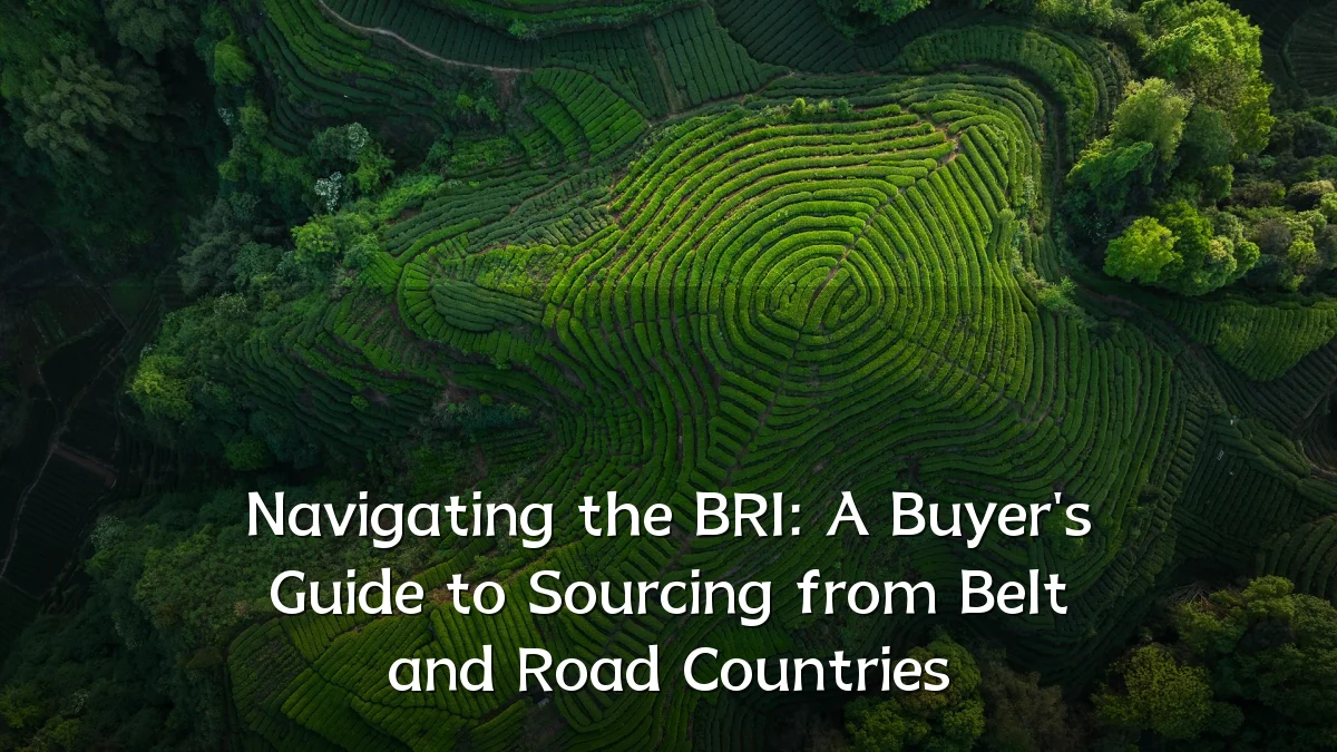 Navigating the BRI: A Buyer's Guide to Sourcing from Belt and Road Countries