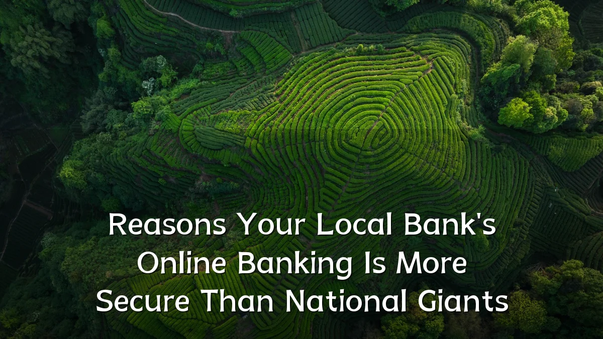 Reasons Your Local Bank's Online Banking Is More Secure Than National Giants