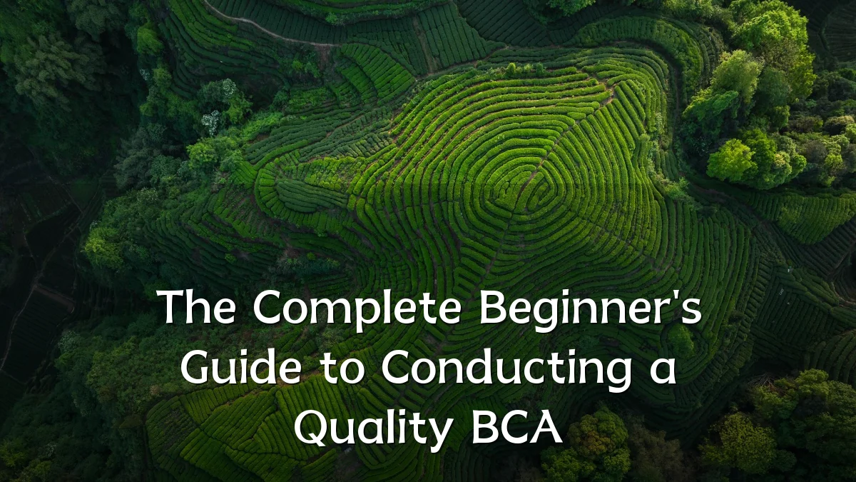 The Complete Beginner's Guide to Conducting a Quality BCA