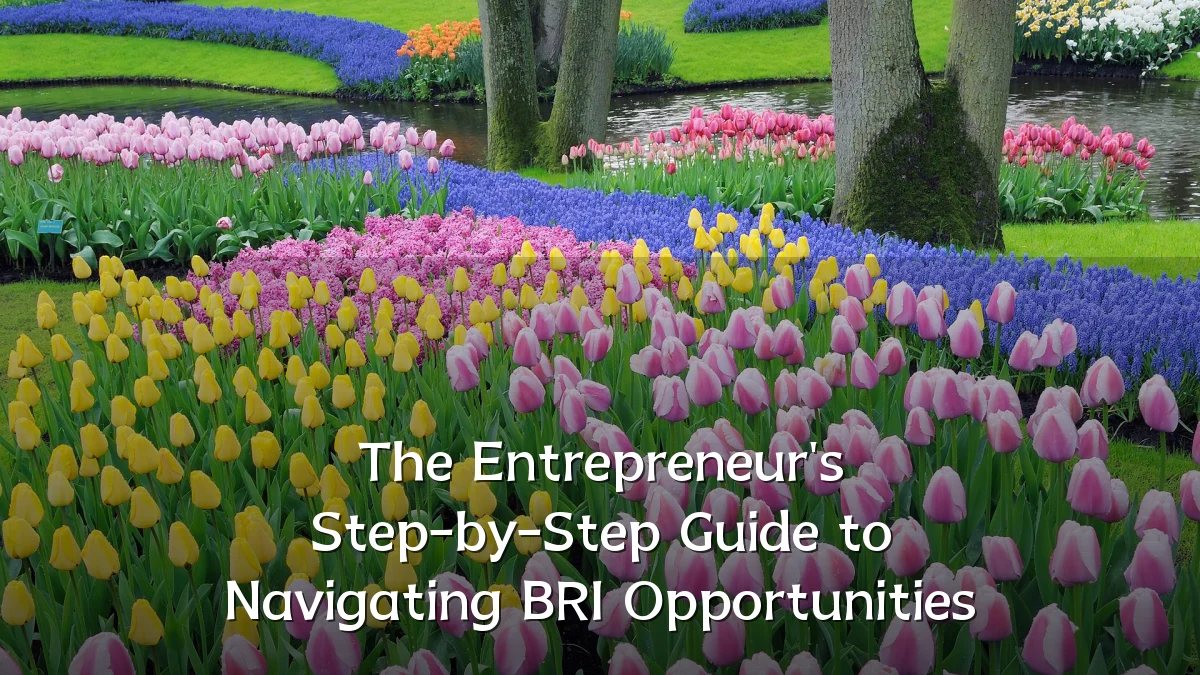 The Entrepreneur's Step-by-Step Guide to Navigating BRI Opportunities