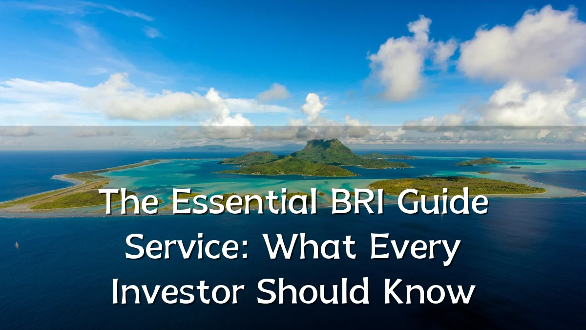 The Essential BRI Guide Service: What Every Investor Should Know