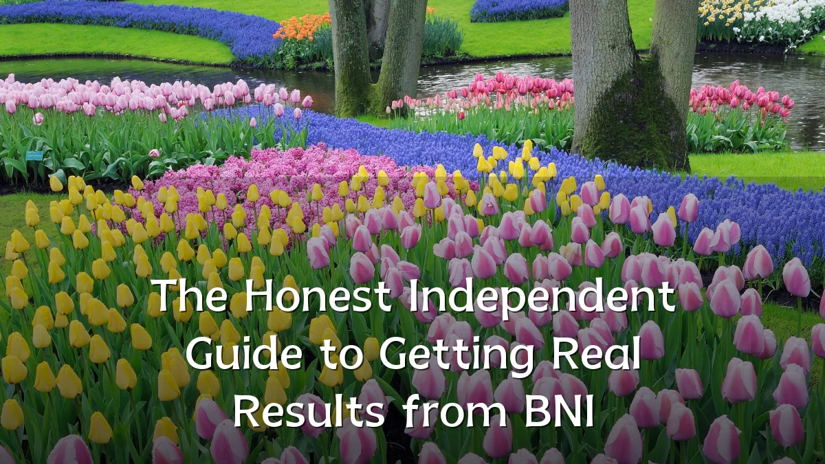 The Honest Independent Guide to Getting Real Results from BNI