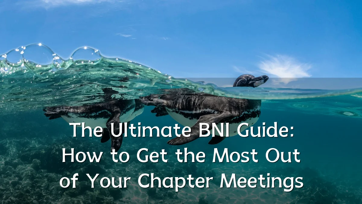The Ultimate BNI Guide: How to Get the Most Out of Your Chapter Meetings