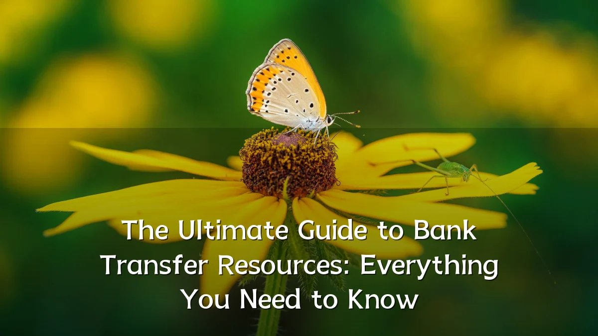 The Ultimate Guide to Bank Transfer Resources: Everything You Need to Know
