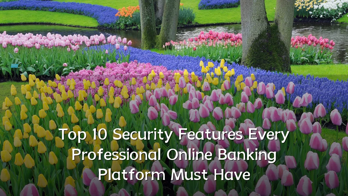 Top 10 Security Features Every Professional Online Banking Platform Must Have
