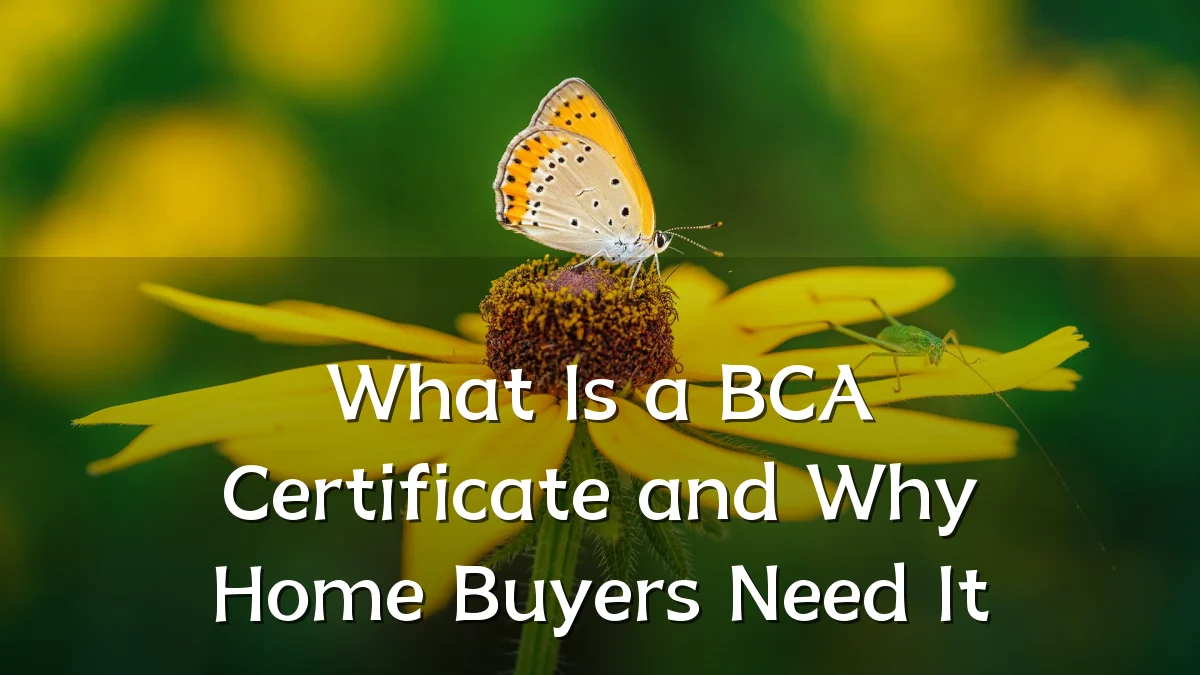 What Is a BCA Certificate and Why Home Buyers Need It