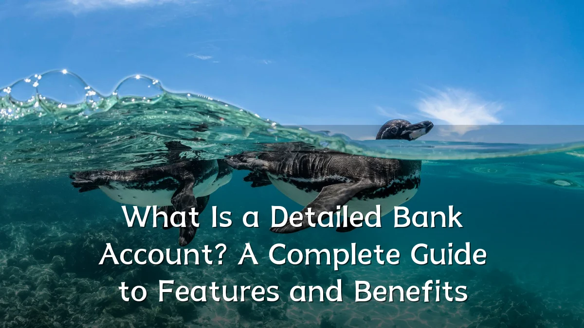 What Is a Detailed Bank Account? A Complete Guide to Features and Benefits