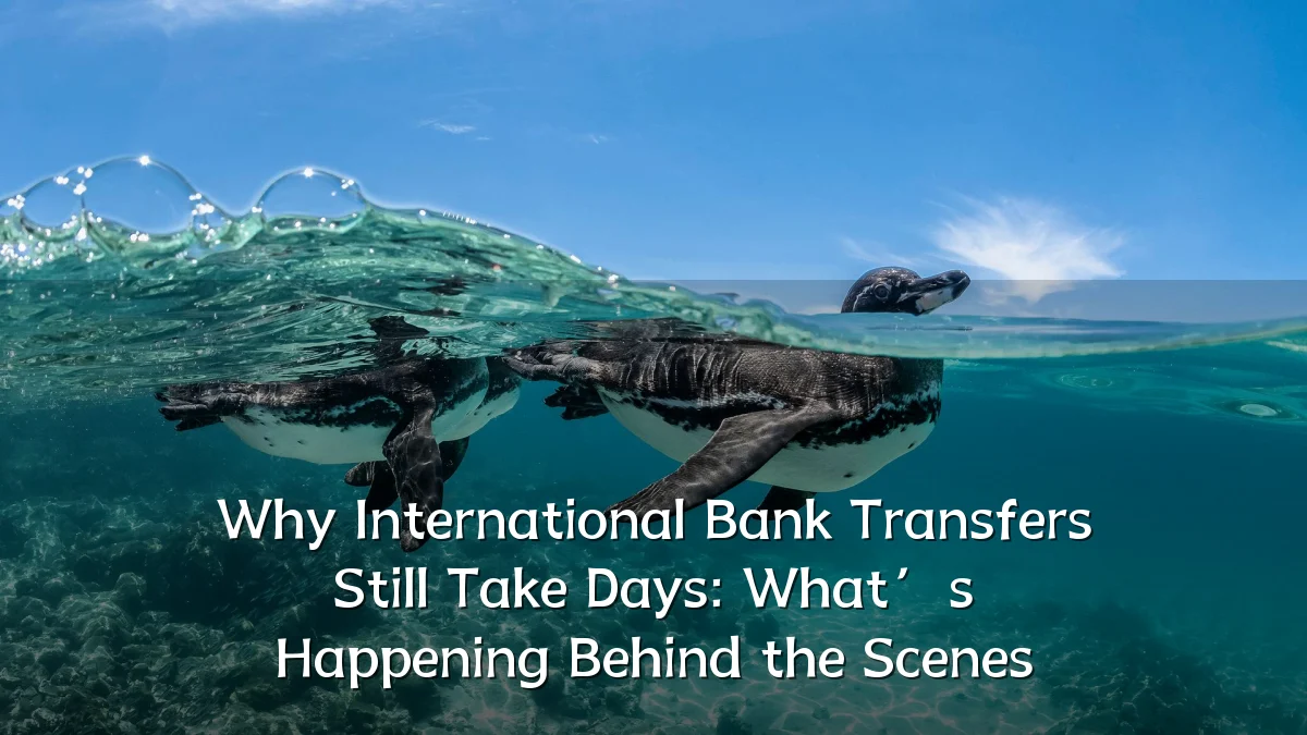 Why International Bank Transfers Still Take Days: What’s Happening Behind the Scenes