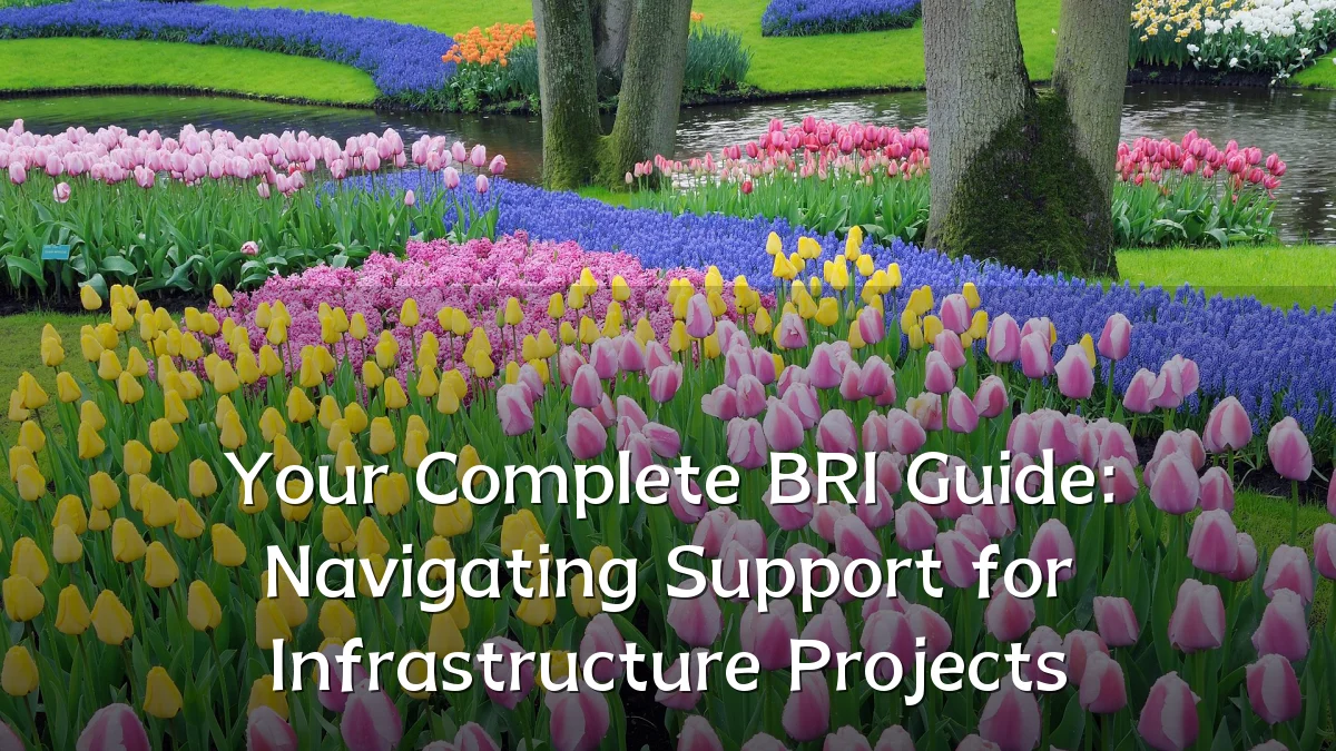 Your Complete BRI Guide: Navigating Support for Infrastructure Projects